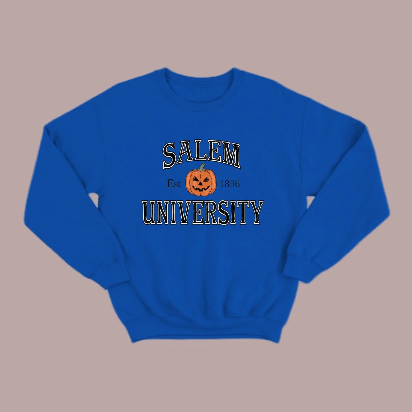 Salem U Sweatshirt