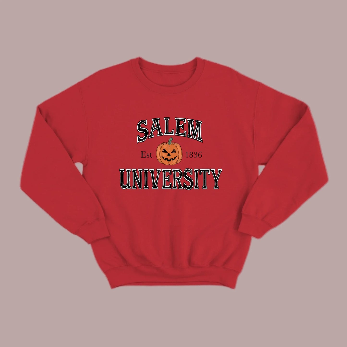 Salem U Sweatshirt